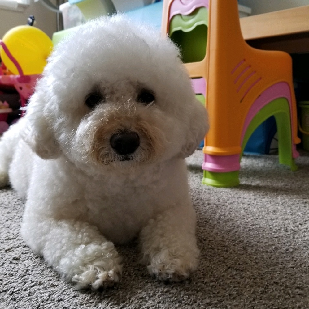 Meet your Posher, Chloe